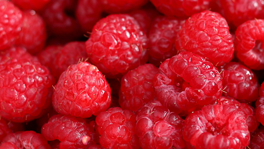 RASPBERRIES CLOSEUP