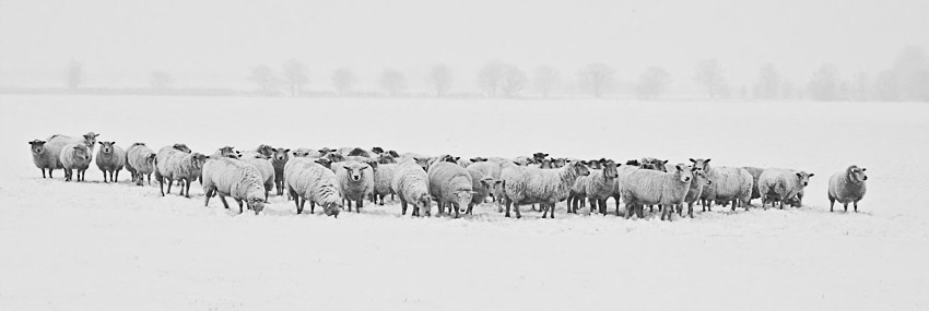 SHOWS THE COLD OF A YORKSHIRE DALES WINTER