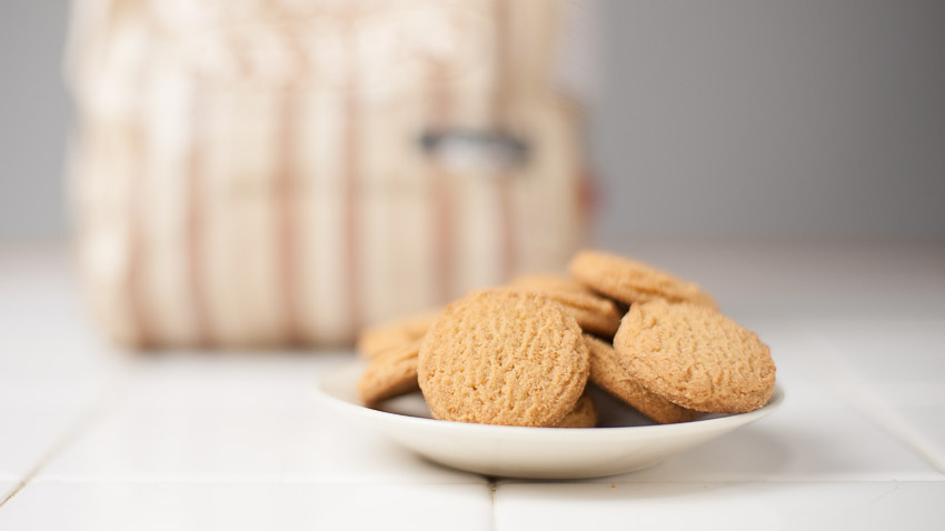 GINGERSNAPS