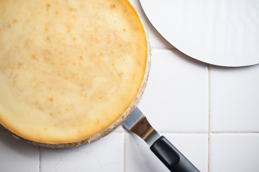 CHEESECAKE TO CARDBOARD ROUND